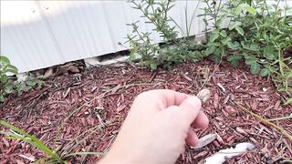 Brianna Beach Gainful Employment – MomComesFirst